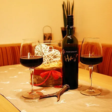 Vakantiehuis Haus Burgner *